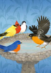 birdbath