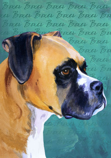 boxer