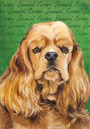 cocker spaniel