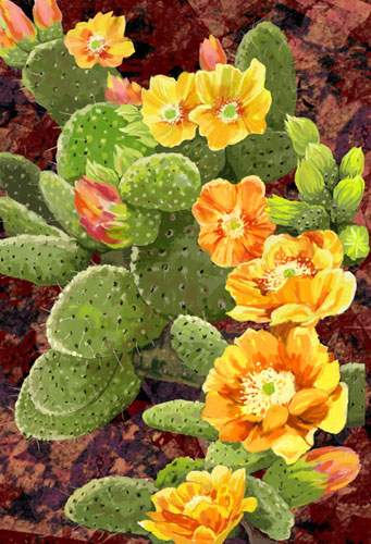 cactus