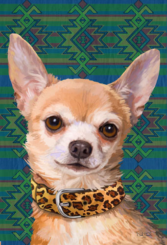 chihuahua