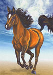 horse