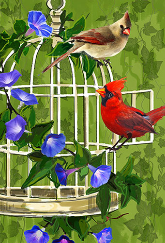 old Birdcage