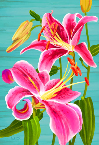 pink lily