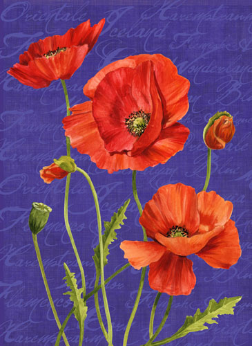 Poppies