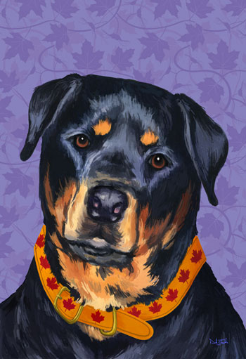 rottweiler canada