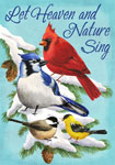 Winter Birds